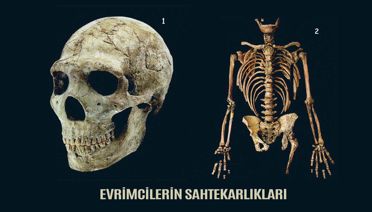 İnsanın Evrimi İddialarında Kayıp Halka Oyununun Gerçek Yüzü