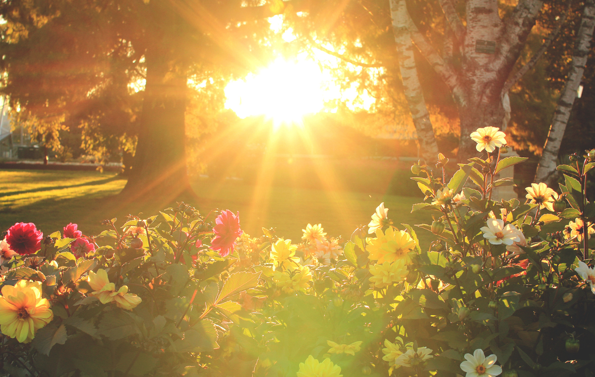 İman Sahipleri İçin Sünnet-i Seniyyenin Önemi 2