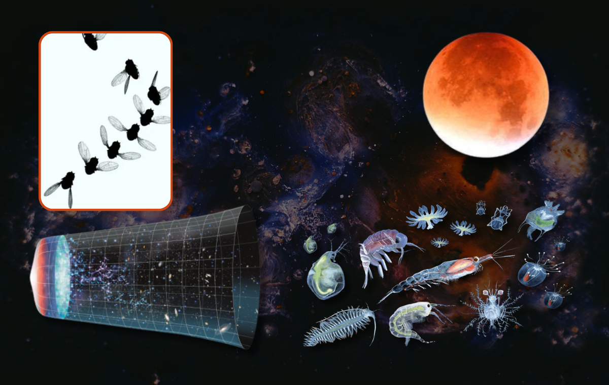 Güncel:İlmi Araştırma, sayı 120