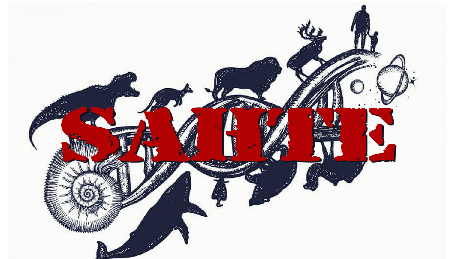 Que la théorie de l'évolution est une tromperie: Dieu a créé toute chose