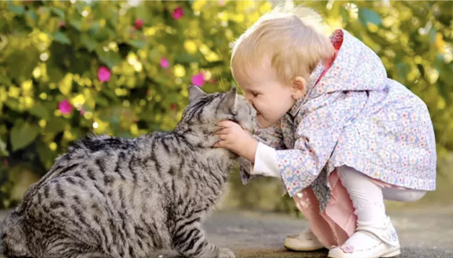 Allahın Gözəl Əxlaqlı Olmağı Əmr Etdiyini Anlamazlıqdan Gəlməyin