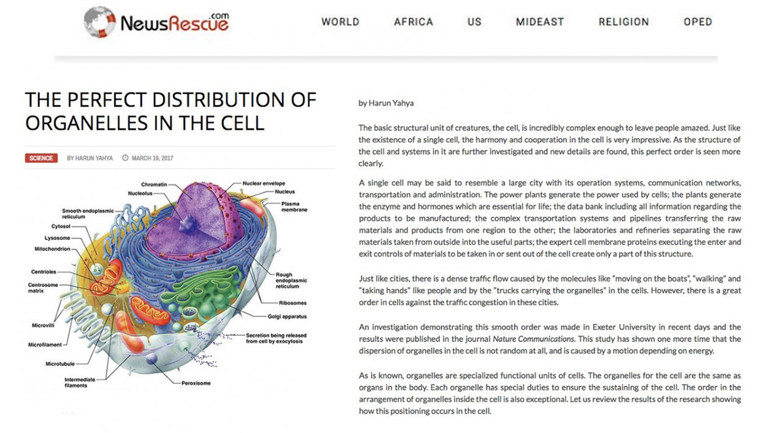 The Perfect Distribution of Organelles in the Cell 