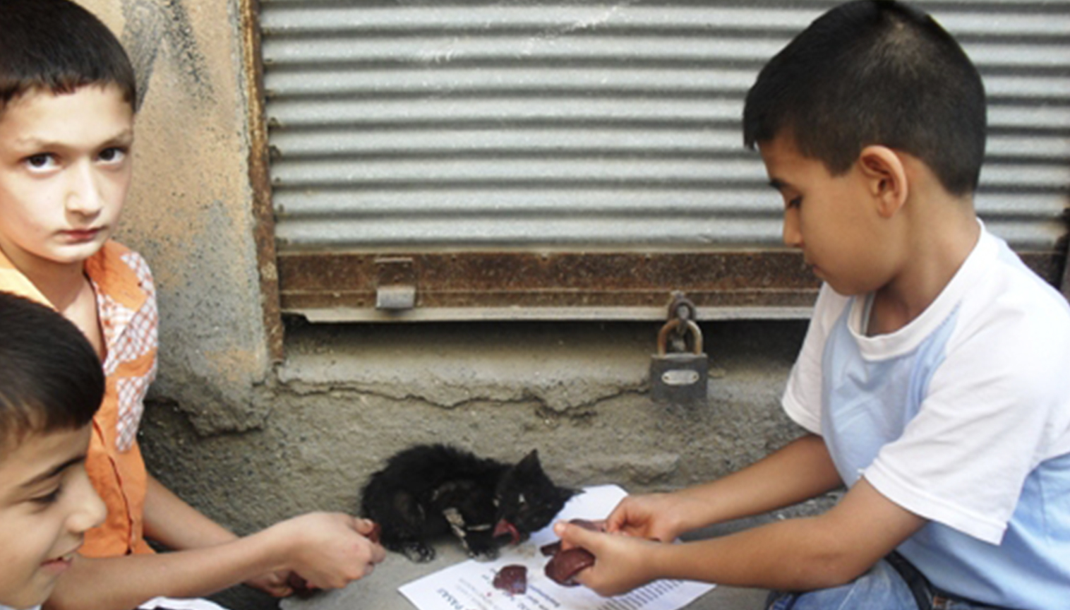 Never Plead Ignorance About The Voice of Your Conscience