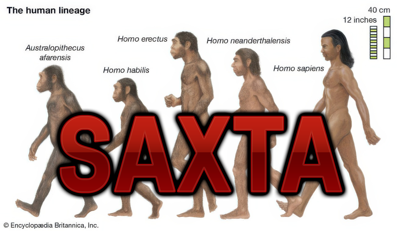 Darvinistlər niyə əl çəkmirlər?