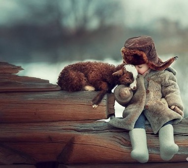 Cinayət və nifrətin qarşısını almağın yolu: SEVGİ