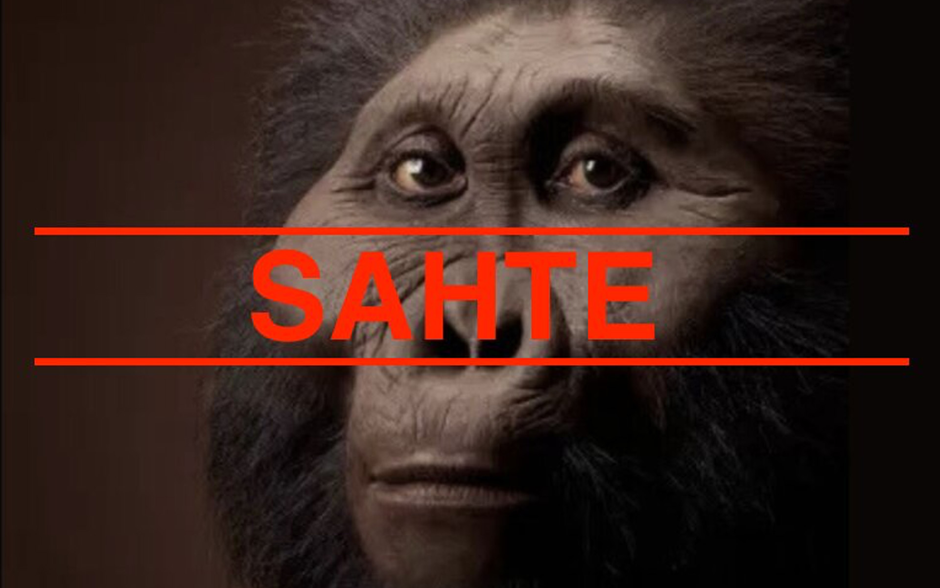 HAYALİ BİR ARA TÜR BÖYLE ÜRETİLDİ:  PARANTHROPUS BOİSEİ ve ELİN SÖZDE EVRİMİ MASALI