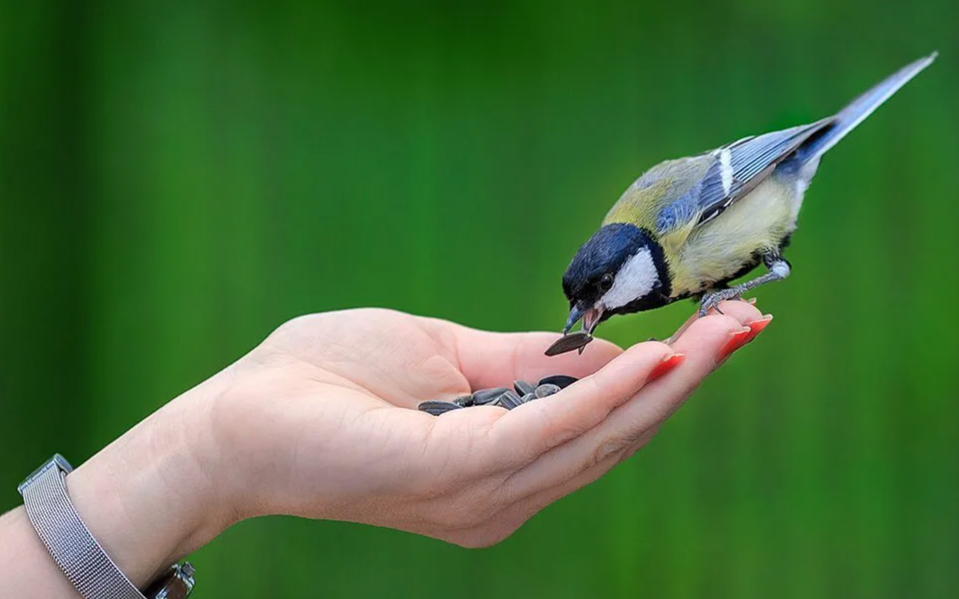 Suç ve Nefreti Önlemenin Yolu: SEVGİ