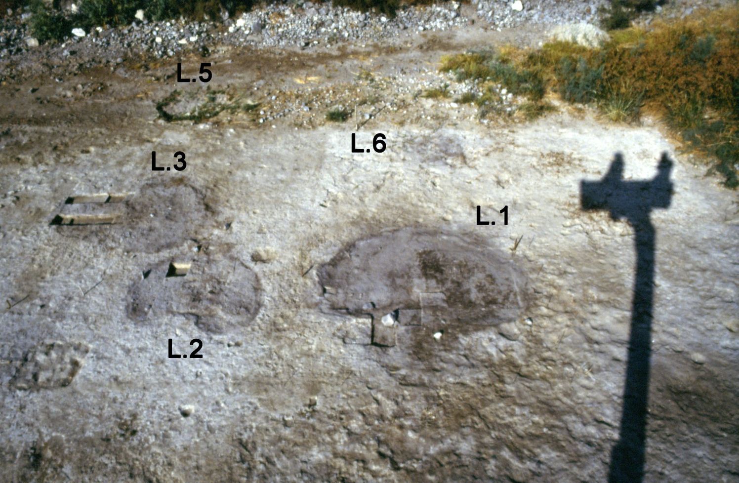 Evrimci Tarih Anlayışını Yıkan Ohalo 2