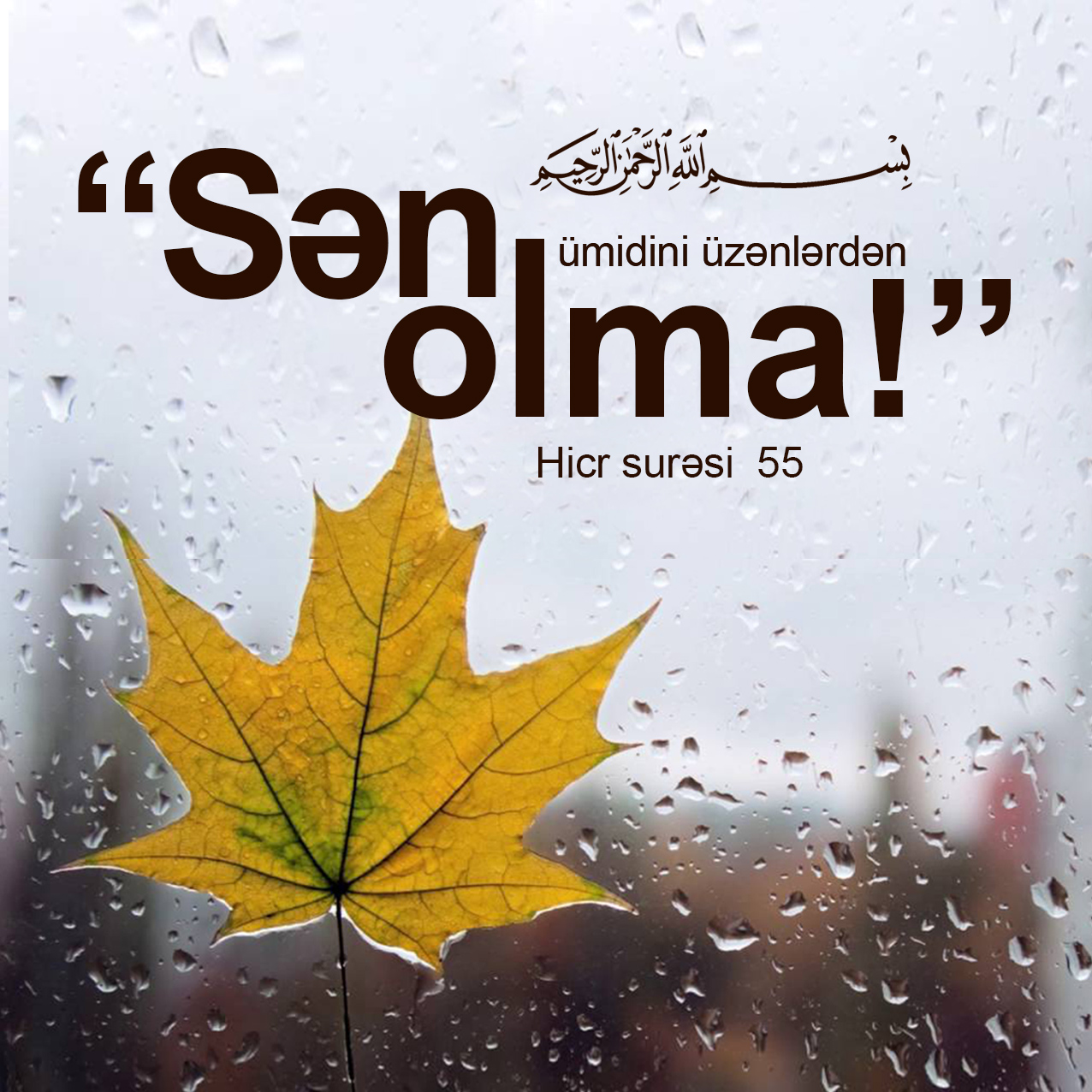 55. Onlar dedilər: “Biz sənə həqiqətlə müjdə veririk. Sən ümidini üzənlərdən olma!”