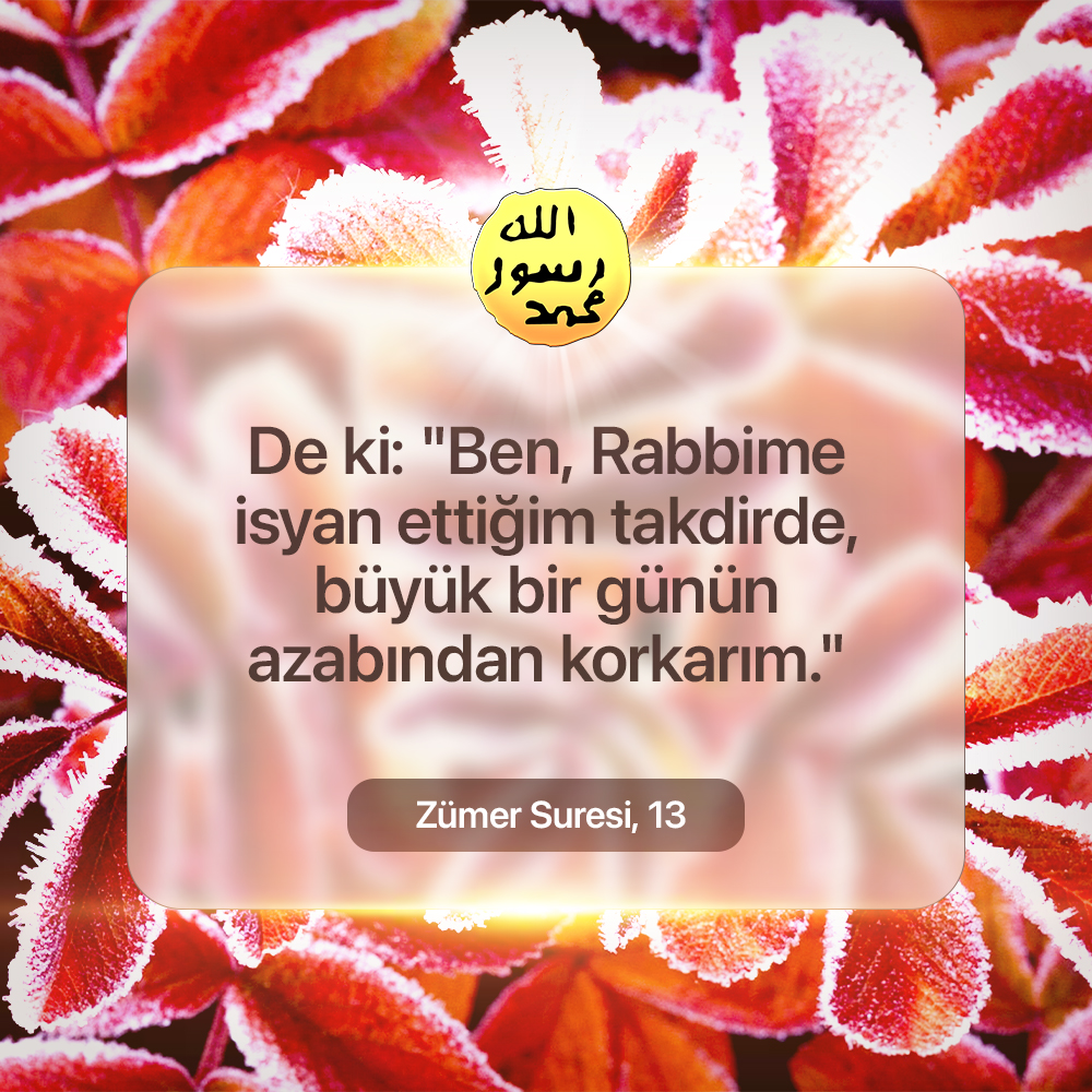 Zümer Suresi, 13