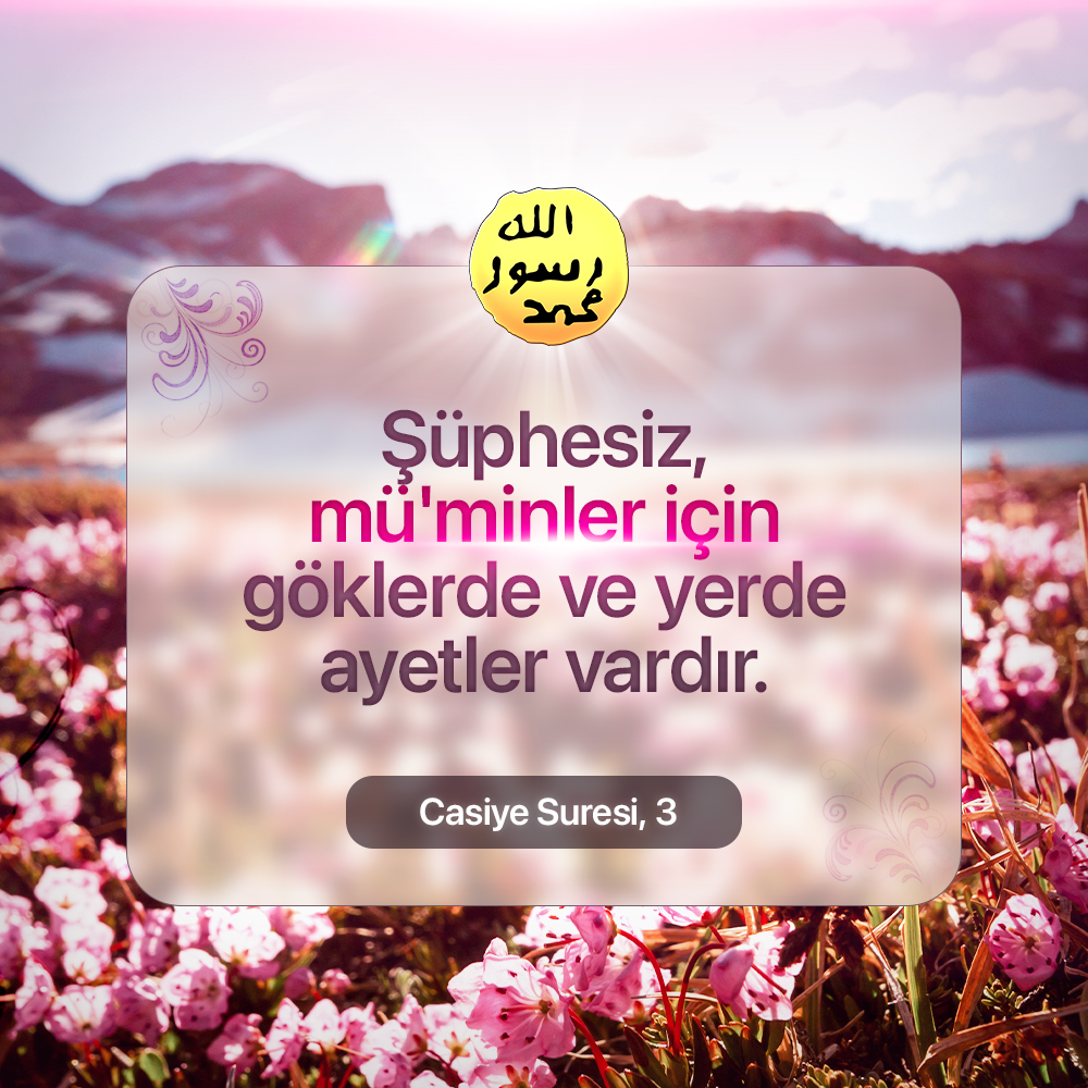 Casiye Suresi, 3