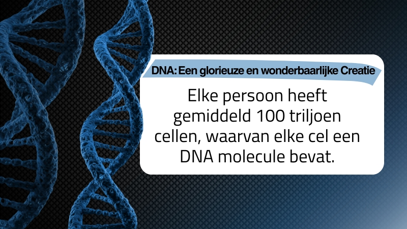 DNA: Een glorieuze en wonderbaarlijke Creatie