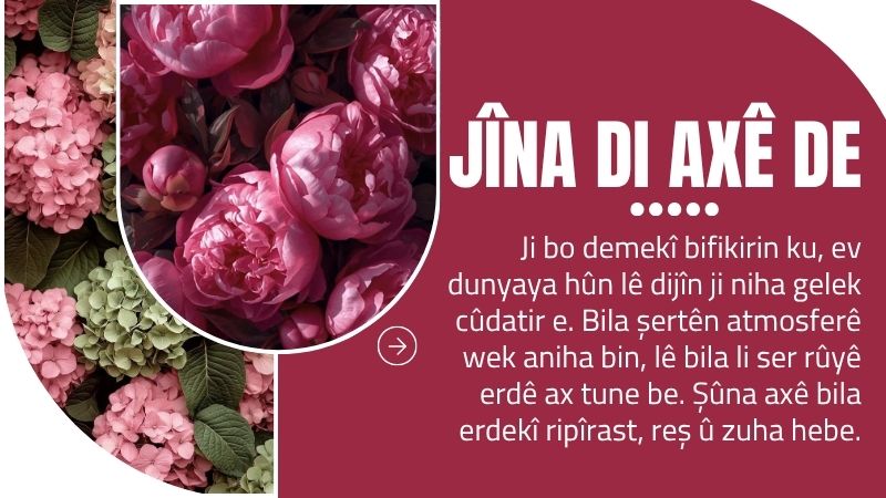 Jîna di Axê de