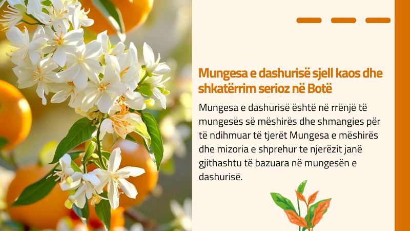 Mungesa e dashurisë sjell kaos dhe shkatërrim serioz në Botë