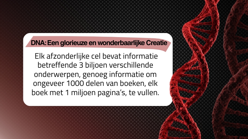 DNA: Een glorieuze en wonderbaarlijke Creatie