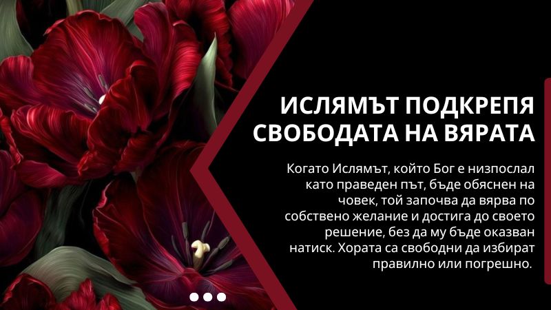 Ислямът подкрепя свободата на вярата