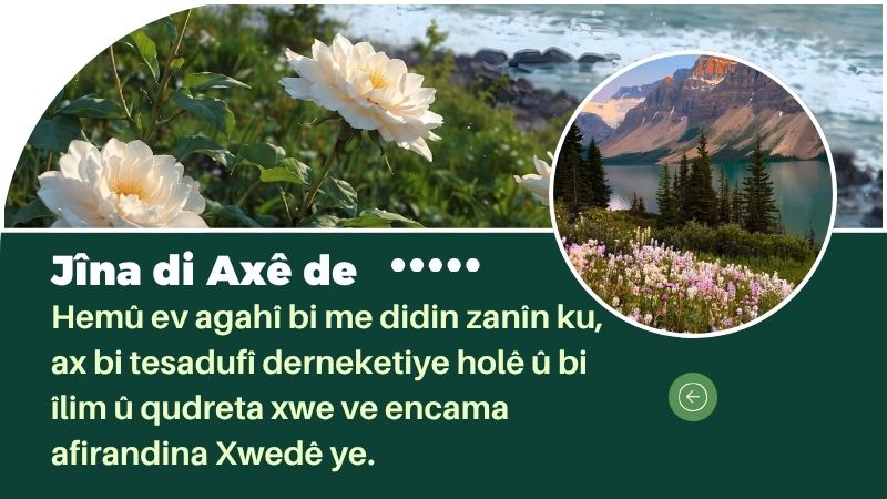 Jîna di Axê de