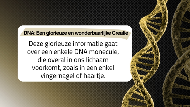 DNA: Een glorieuze en wonderbaarlijke Creatie