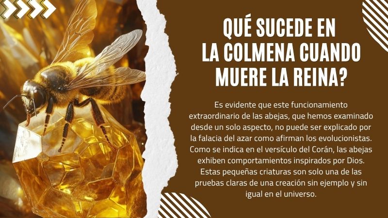Qué Sucede en la Colmena Cuando Muere la Reina?