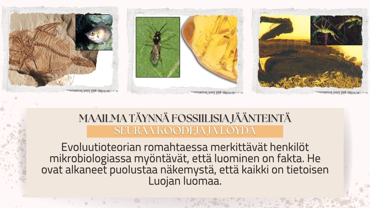 Maailma Täynnä Fossiilisia Jäänteintä Seuraa Koodeja Ja Löydä