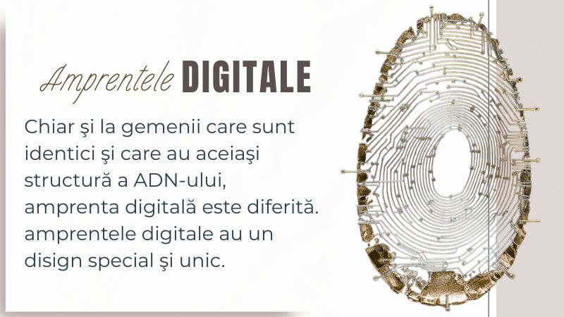 AMPRENTELE DIGITALE