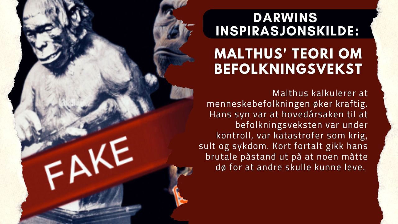 DARWINS INSPIRASJONSKILDE: MALTHUS' TEORI OM BEFOLKNINGSVEKST