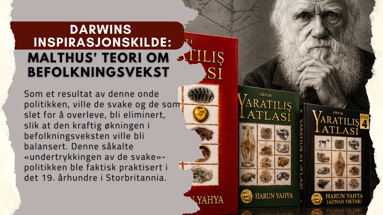 DARWINS INSPIRASJONSKILDE: MALTHUS' TEORI OM BEFOLKNINGSVEKST