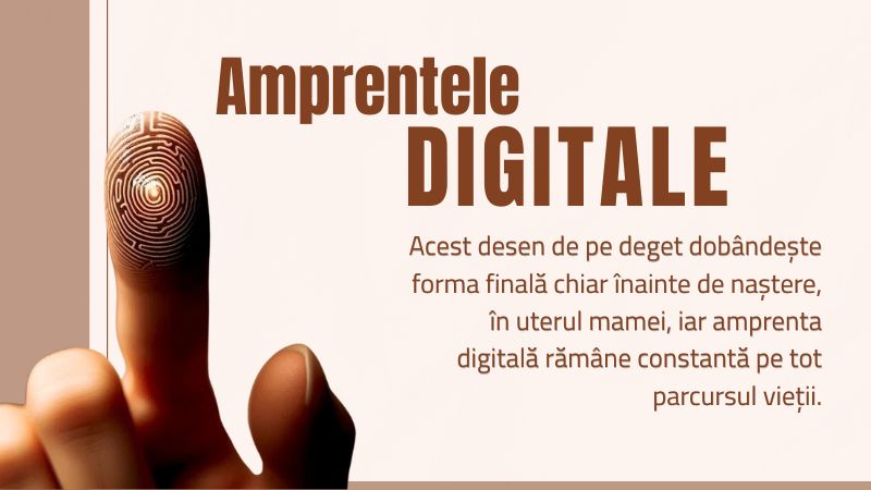 AMPRENTELE DIGITALE