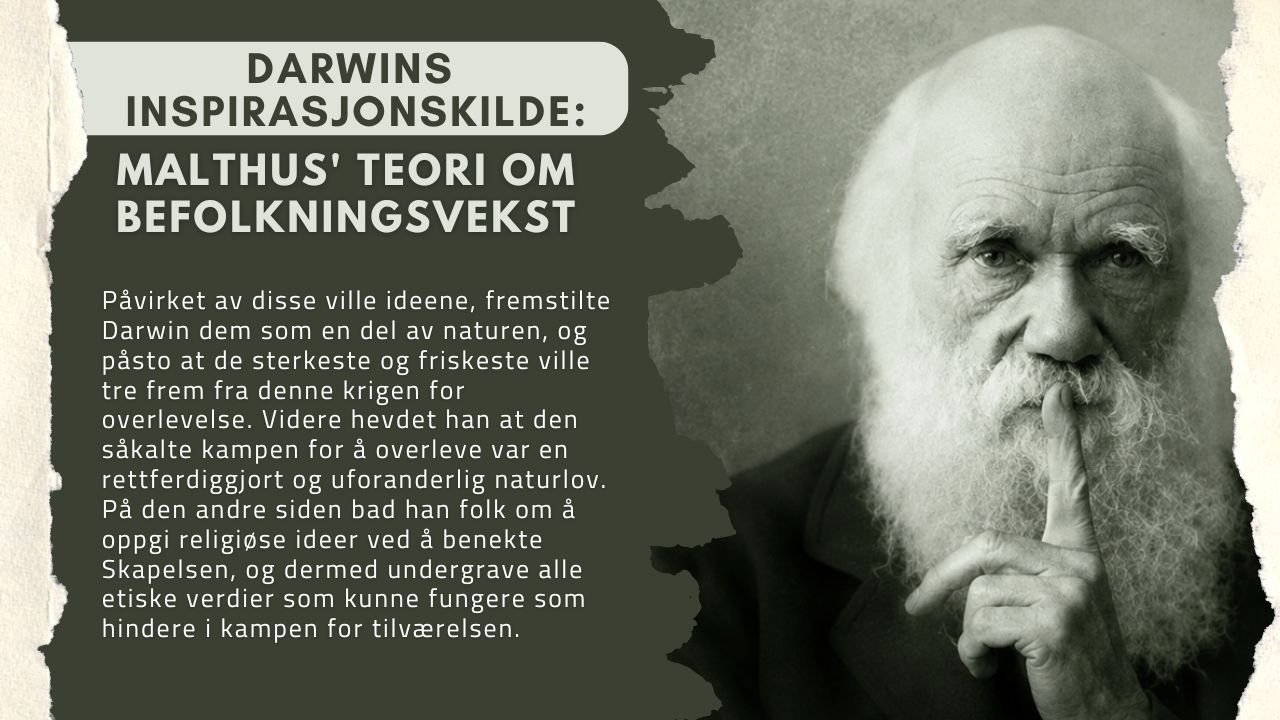 DARWINS INSPIRASJONSKILDE: MALTHUS' TEORI OM BEFOLKNINGSVEKST