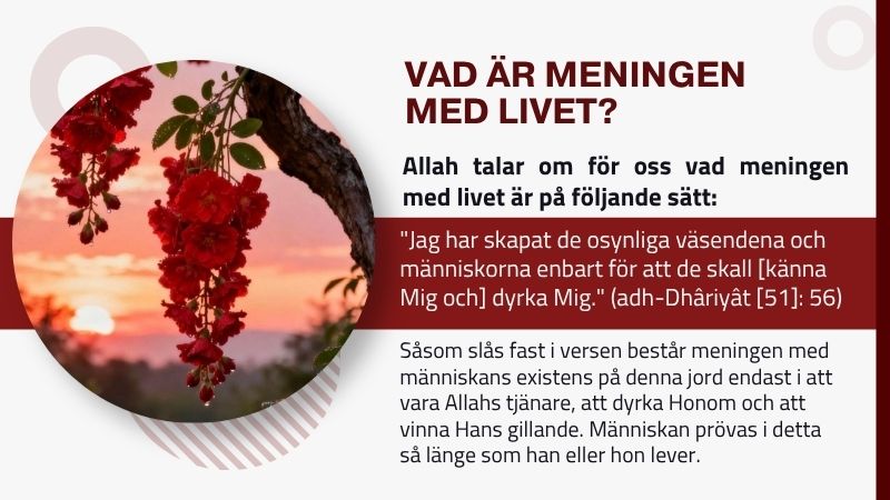 I Allahs, den nåderıkes, den barmhärtıges namn