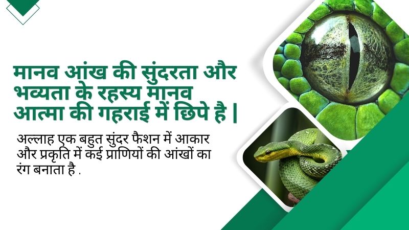 मानव आंख की सुंदरता और भव्यता के रहस्य मानव आत्मा की गहराई में छिपे है |