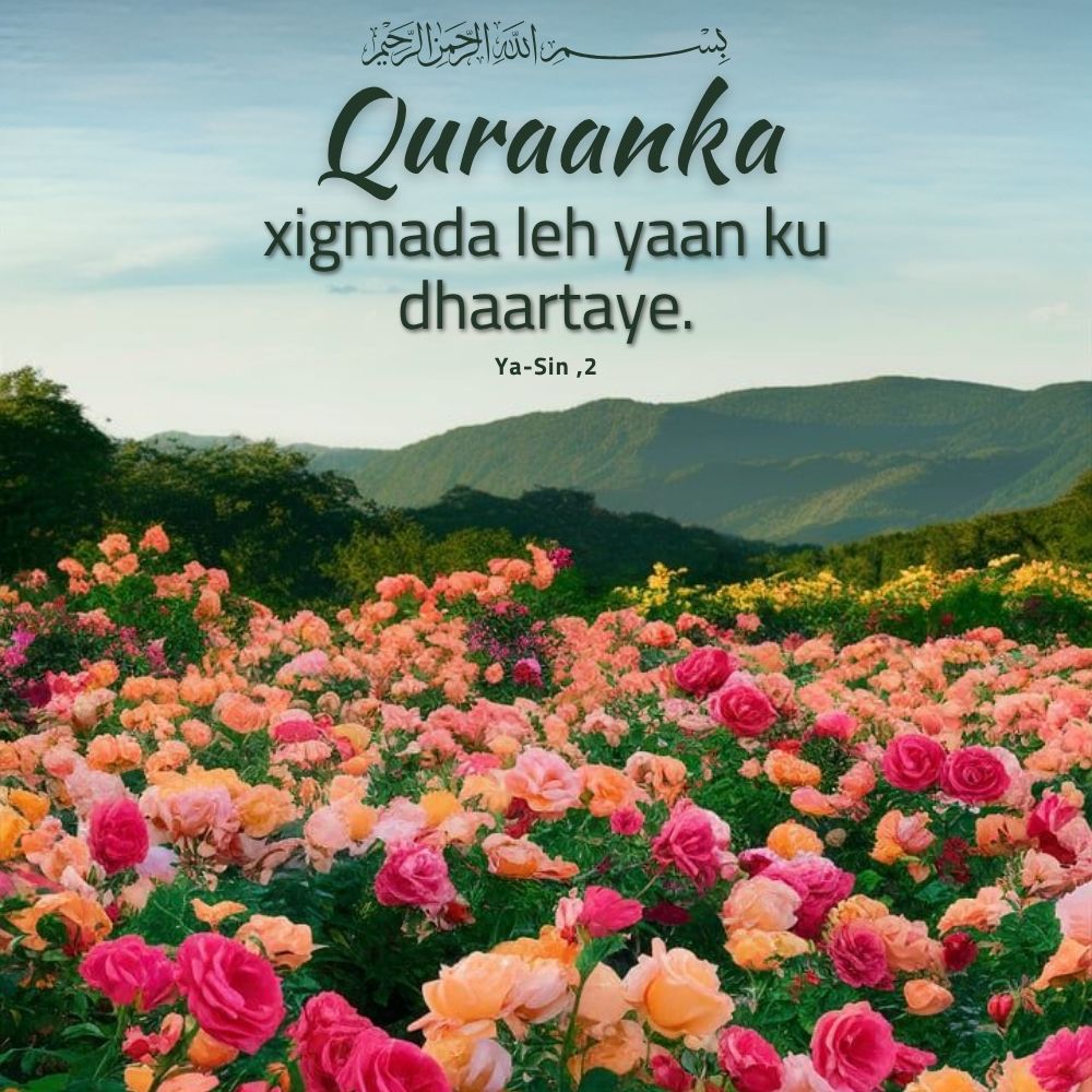 Quraanka