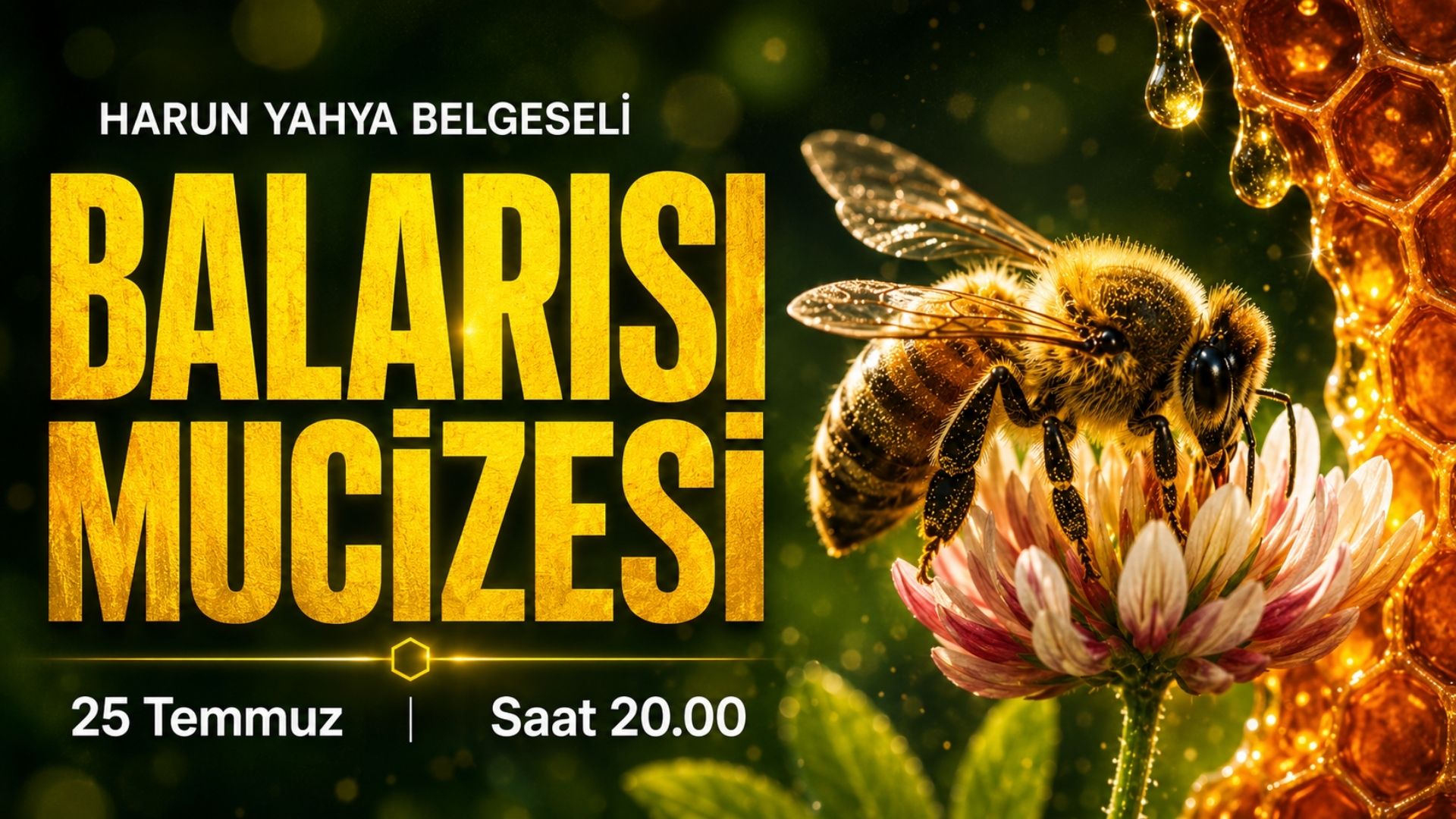 Balarısı Mucizesi 25 Temmuz Saat 20.00 de Yayında