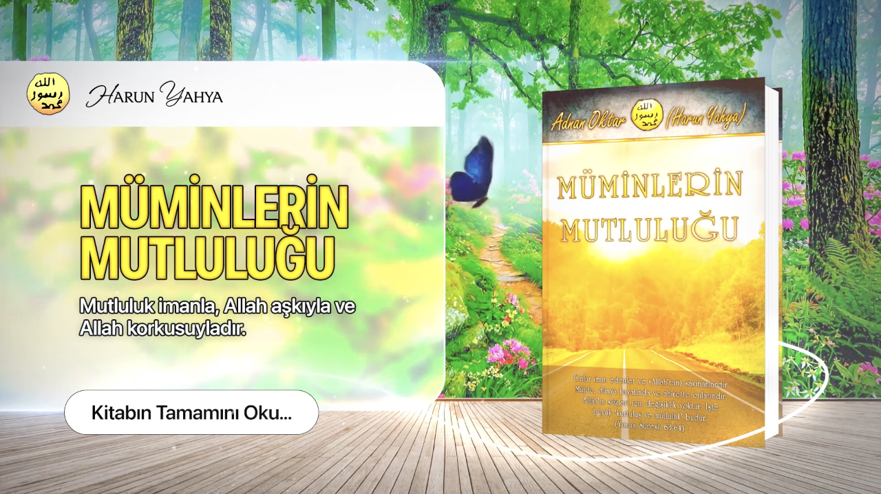 Müminlerin Mutluluğu