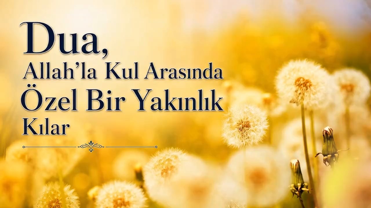 Dua, Allah’la Kul Arasında Özel Bir Yakınlık Kılar