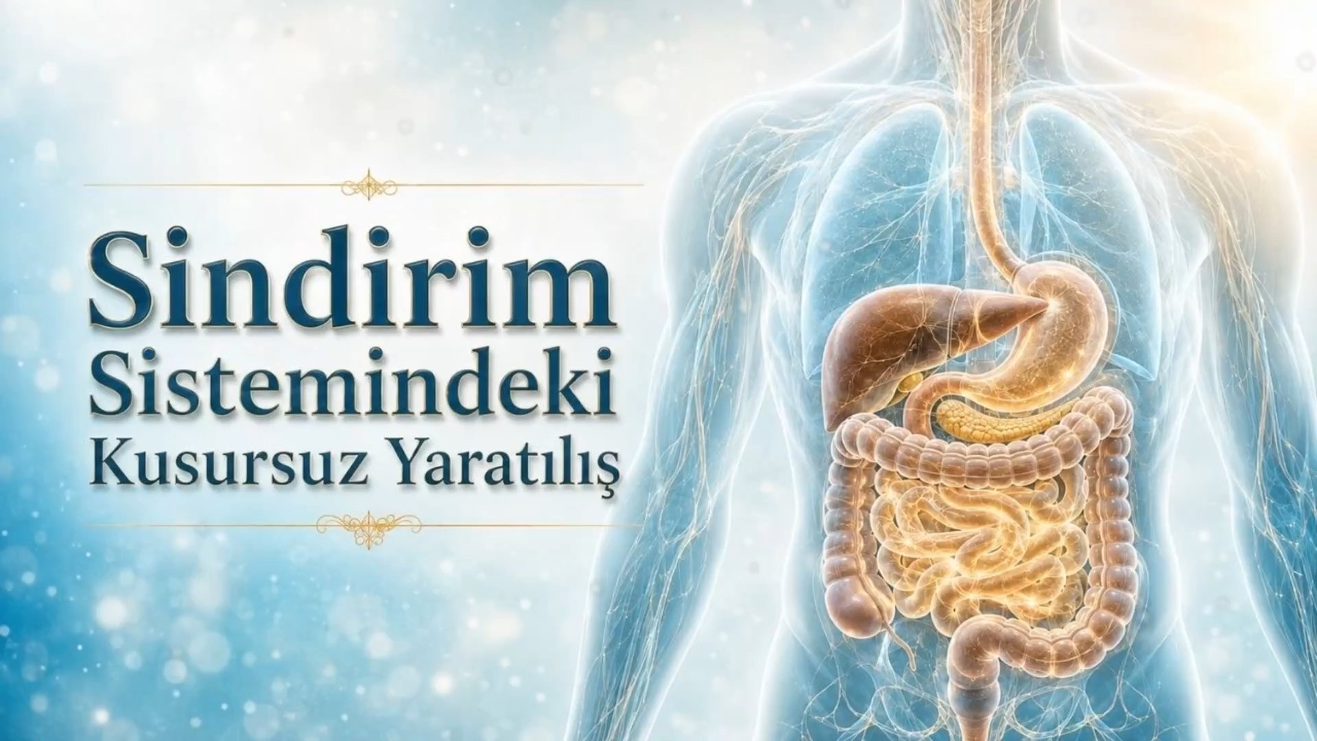 Sindirim Sistemindeki Kusursuz Yaratılış