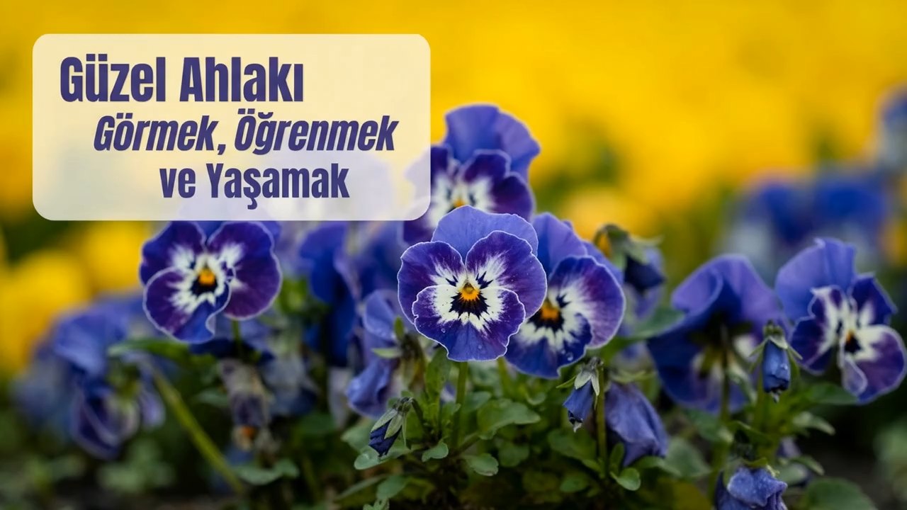 Güzel Ahlakı Görmek, Öğrenmek ve Yaşamak