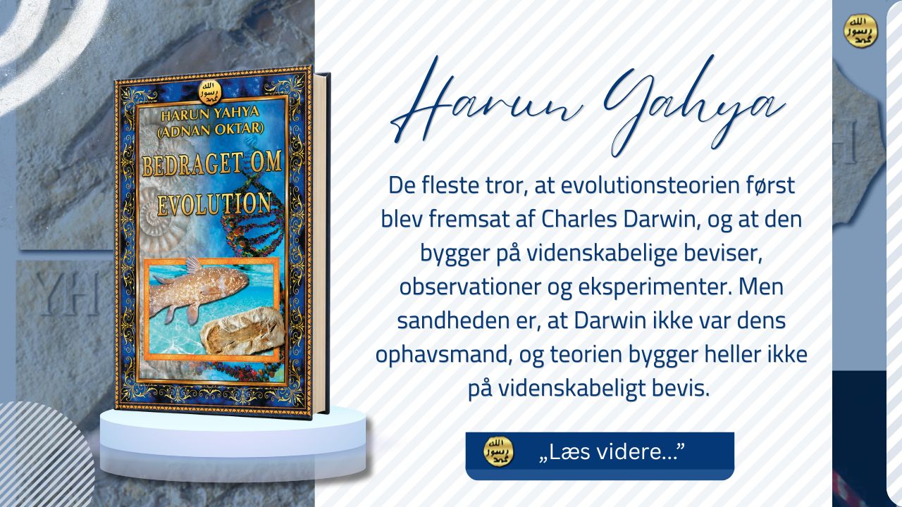 Bedraget Om Evolution