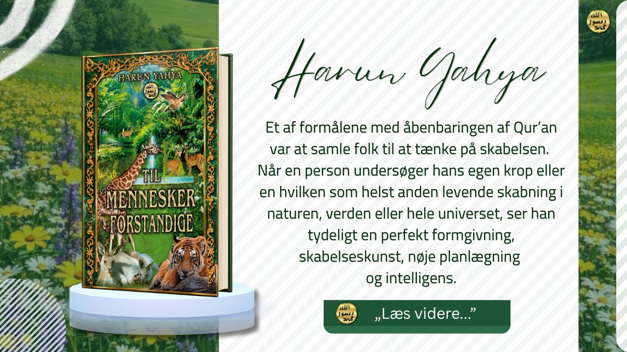 Til Forstandige Mennesker