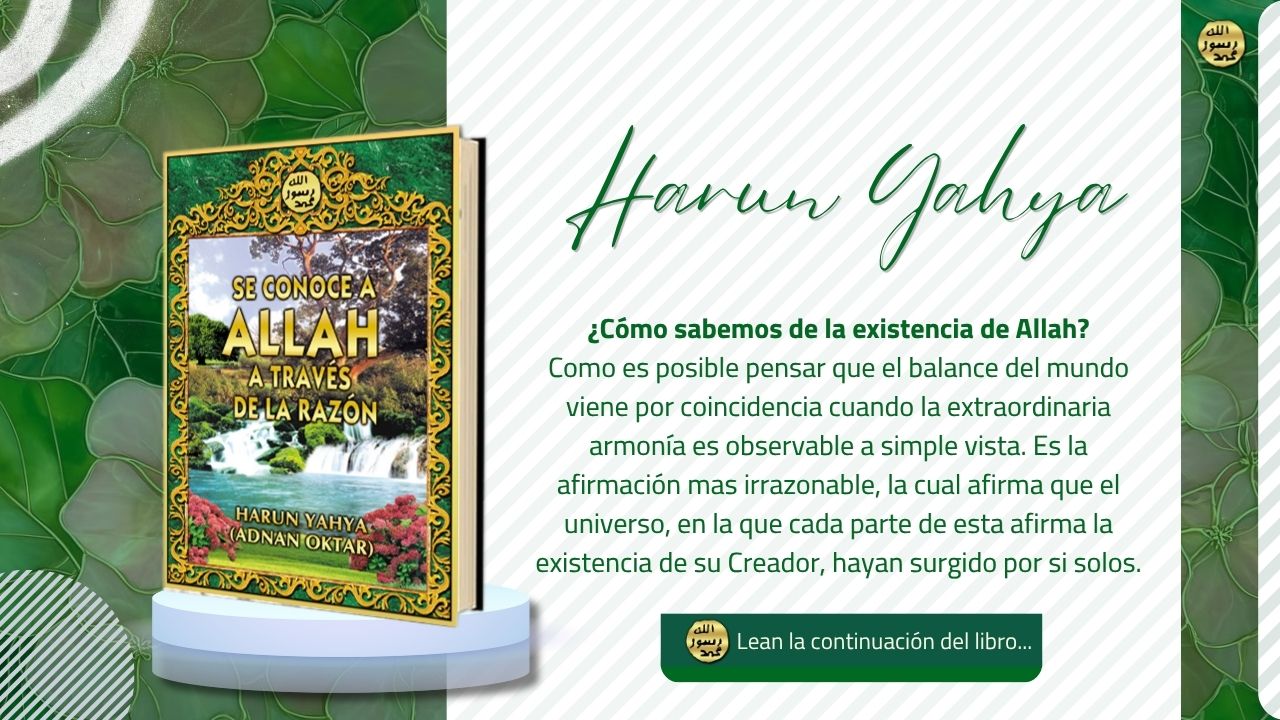 Se Conoce a Allah a Través de la Razón