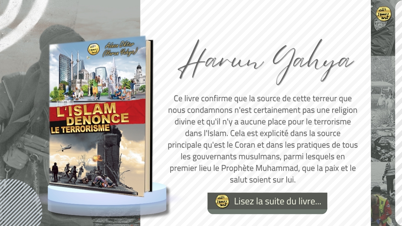 L'islam Dénonce Le Terrorisme