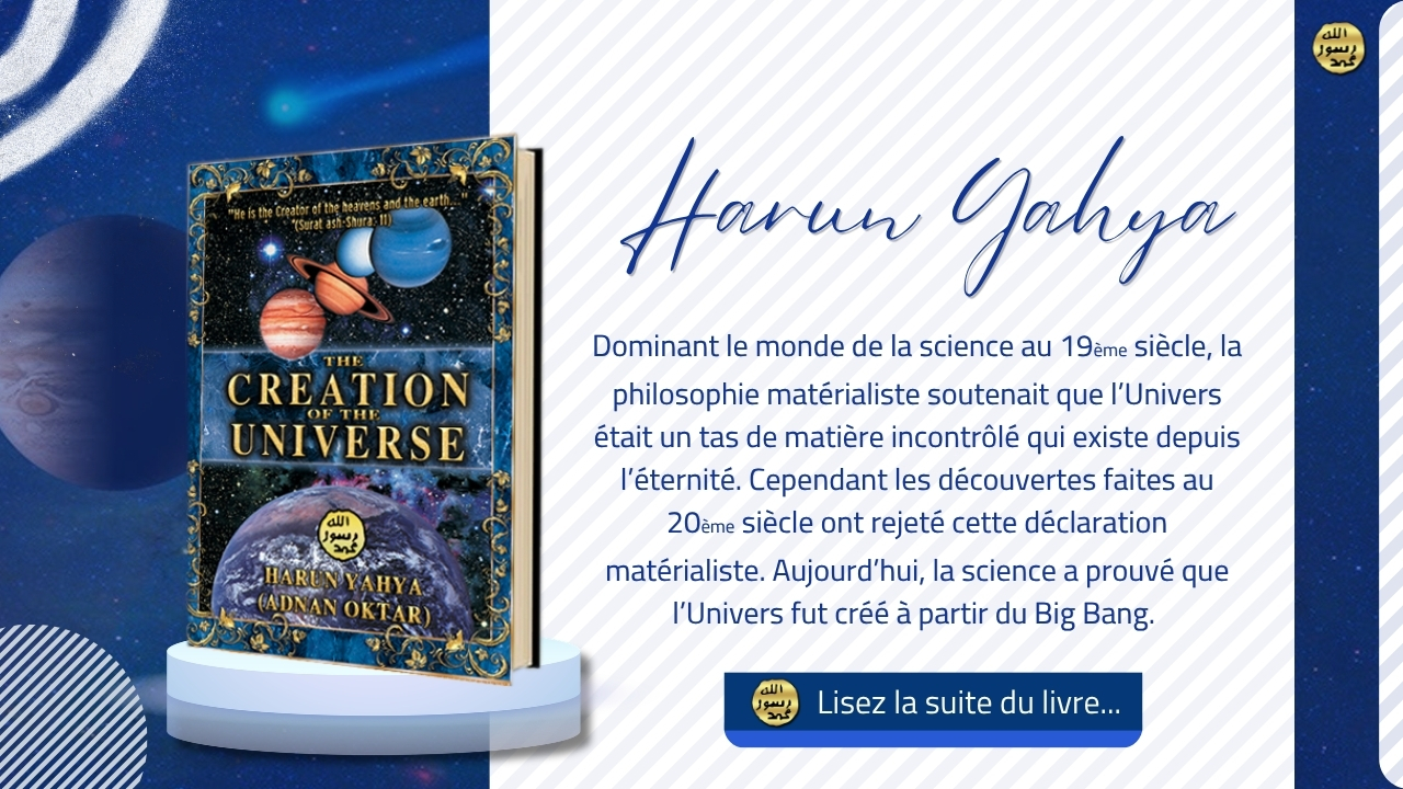 La Création De L’univers