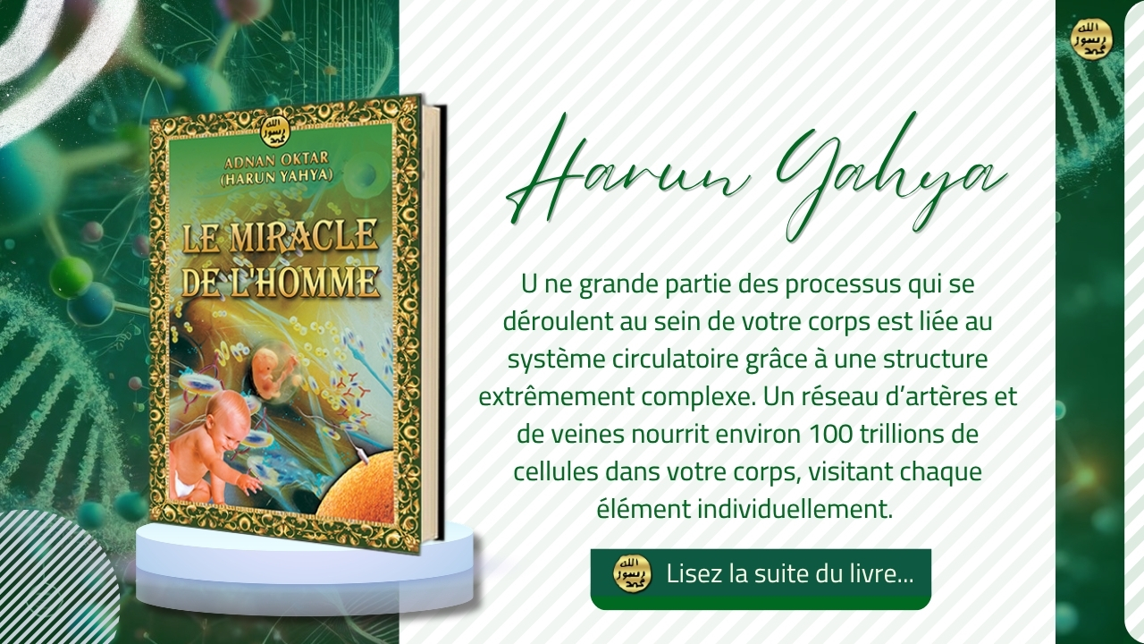 Le Miracle de l'Homme