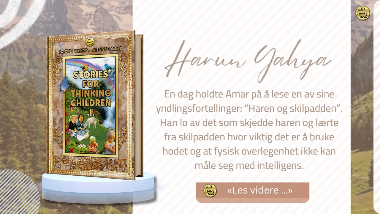 Fortellinger for de Tenkende Barna 1