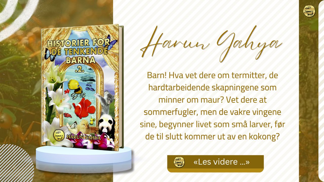 Historier for de Tenkende Barna-2
