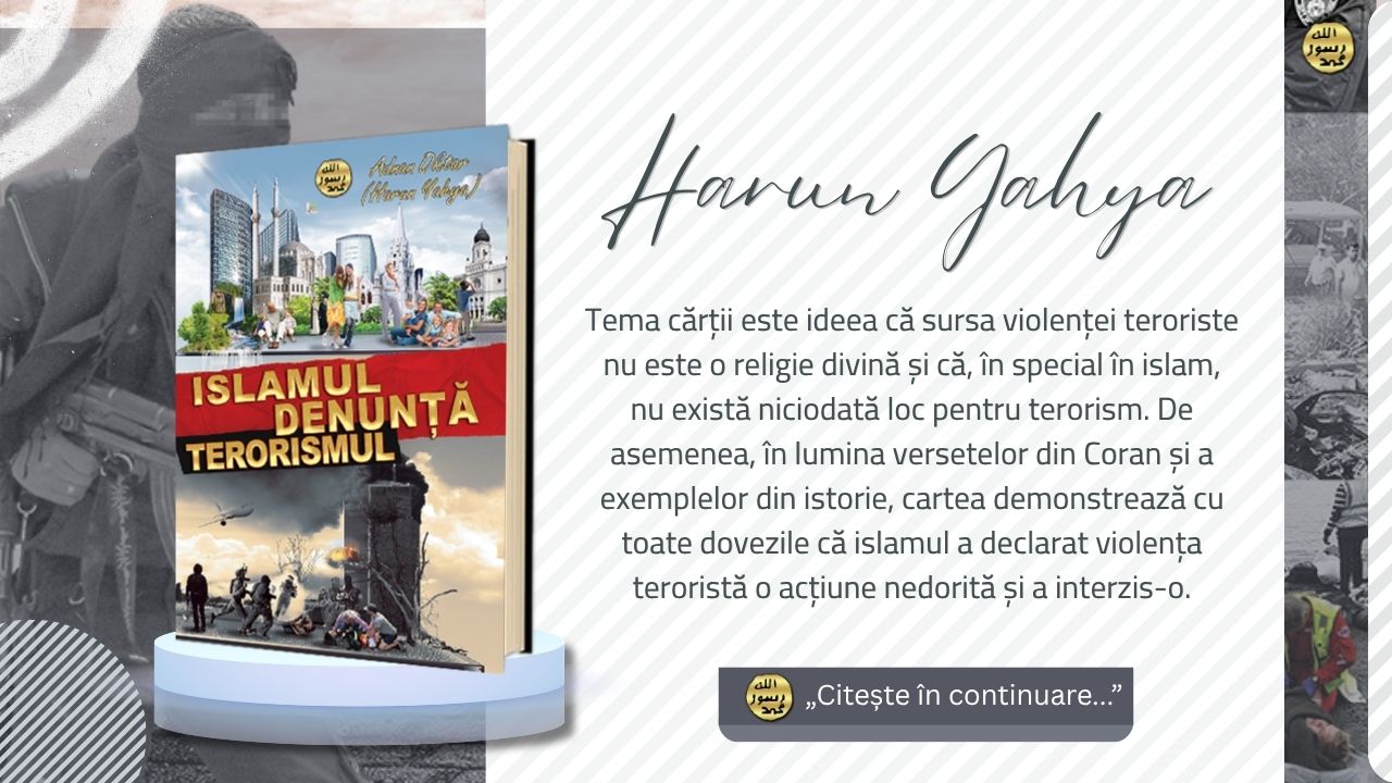 Islamul Denunță Terorismul