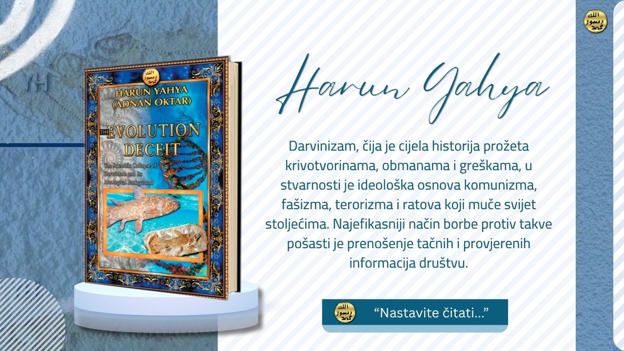 Obmana Evolucije - Обмана Еволуције