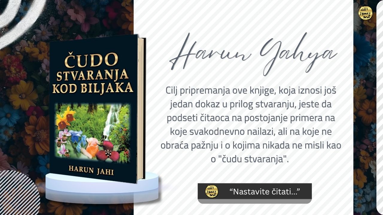 Čudo Stvaranja Kod Biljaka