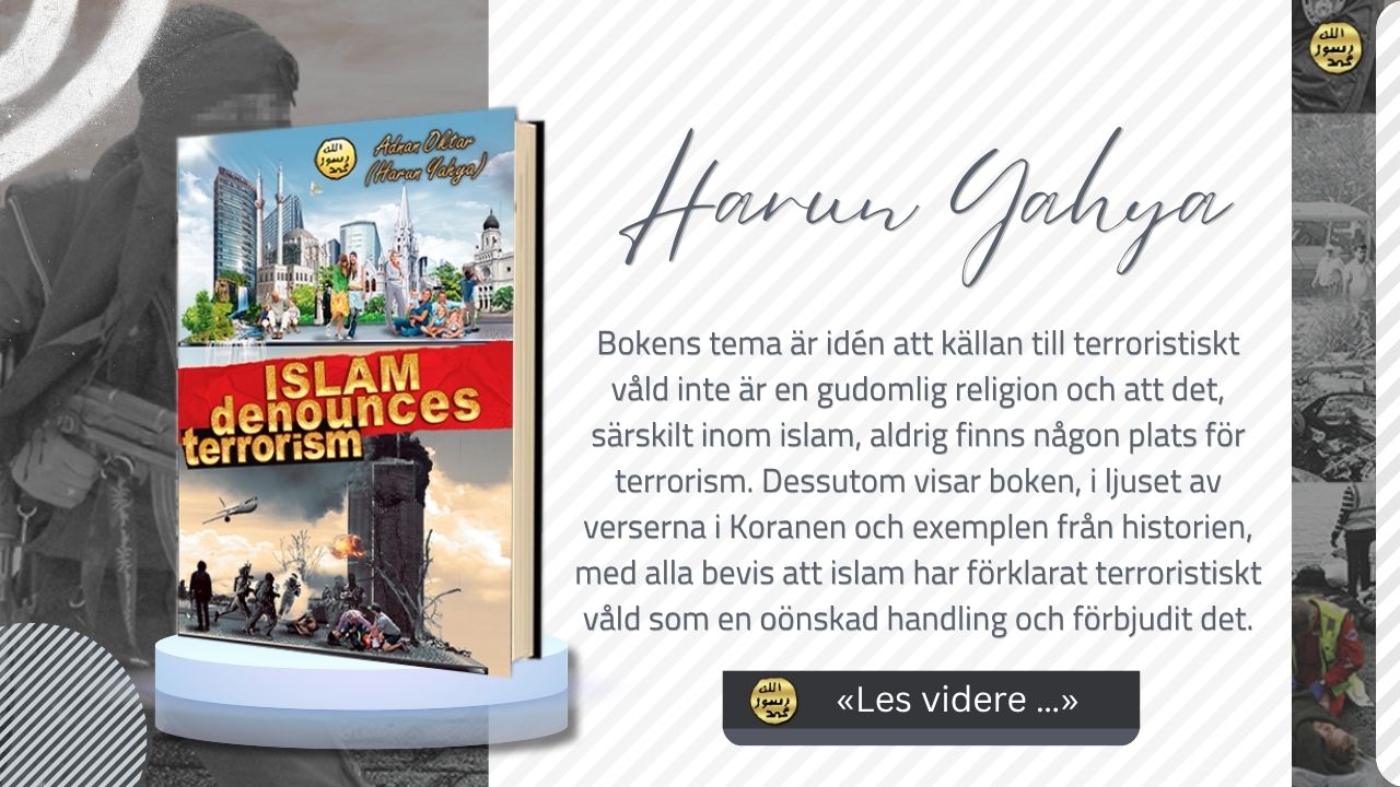Islam Fördömer Terrorism