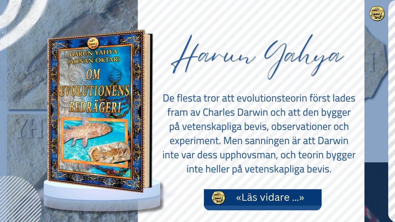 Om Evolutionens Bedrägeri